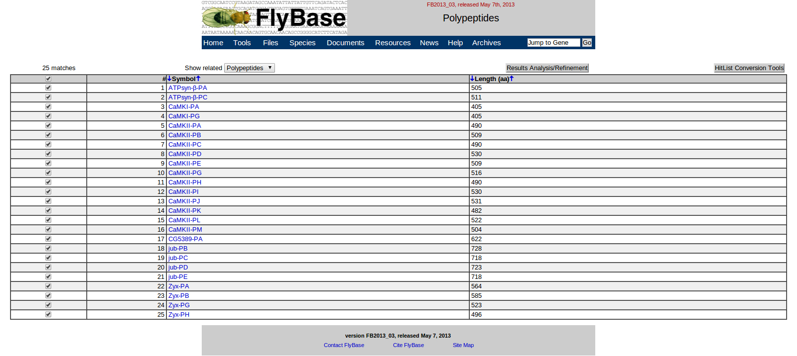 FlyBase Blast
